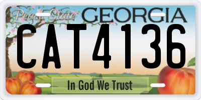 GA license plate CAT4136