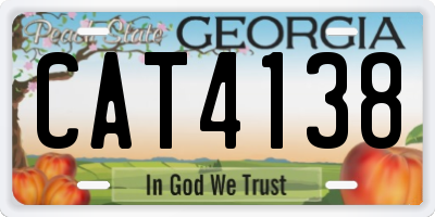 GA license plate CAT4138