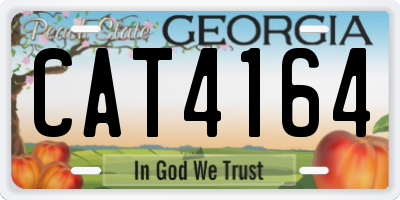 GA license plate CAT4164