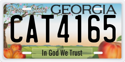 GA license plate CAT4165