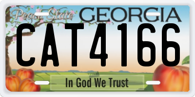 GA license plate CAT4166