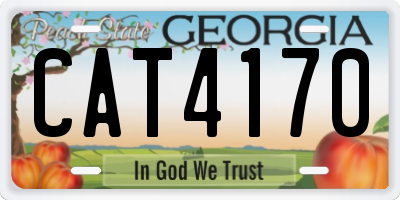 GA license plate CAT4170