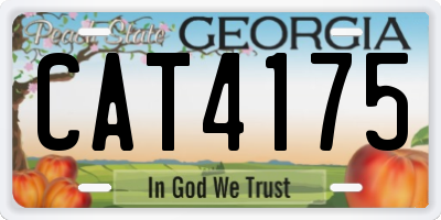 GA license plate CAT4175
