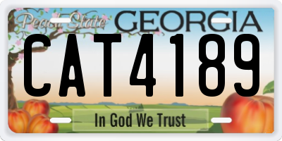 GA license plate CAT4189