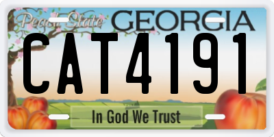 GA license plate CAT4191