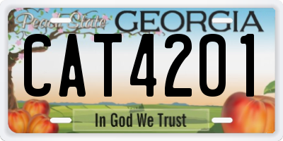GA license plate CAT4201