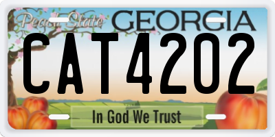 GA license plate CAT4202