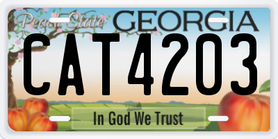 GA license plate CAT4203