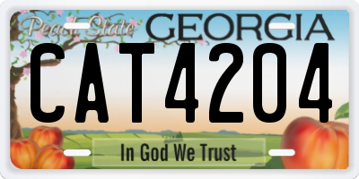 GA license plate CAT4204