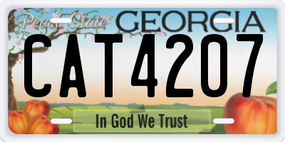 GA license plate CAT4207