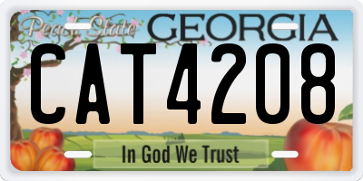 GA license plate CAT4208