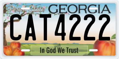 GA license plate CAT4222