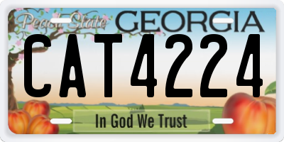 GA license plate CAT4224