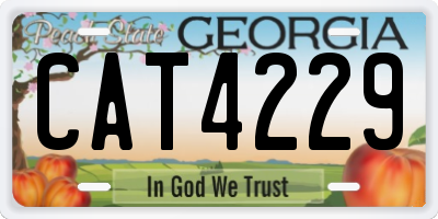 GA license plate CAT4229