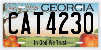 GA license plate CAT4230