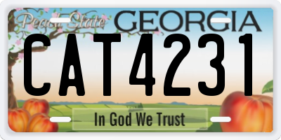 GA license plate CAT4231