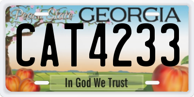 GA license plate CAT4233