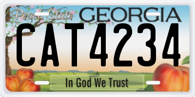 GA license plate CAT4234