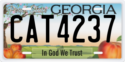 GA license plate CAT4237