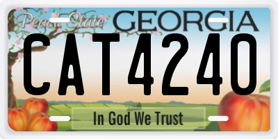 GA license plate CAT4240