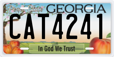 GA license plate CAT4241