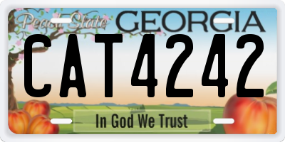GA license plate CAT4242