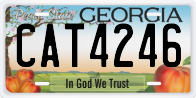 GA license plate CAT4246