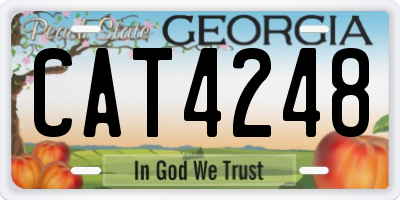 GA license plate CAT4248