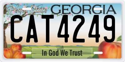 GA license plate CAT4249