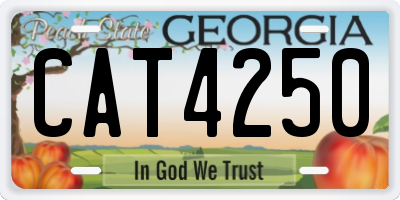GA license plate CAT4250