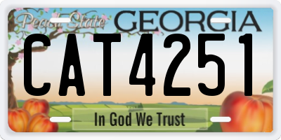 GA license plate CAT4251