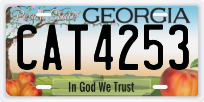 GA license plate CAT4253