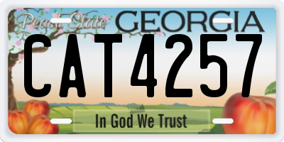 GA license plate CAT4257