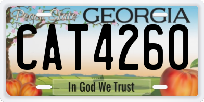 GA license plate CAT4260