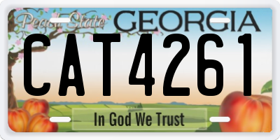 GA license plate CAT4261