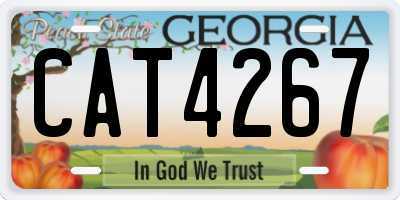 GA license plate CAT4267