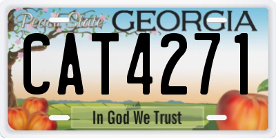 GA license plate CAT4271