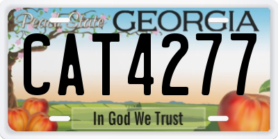 GA license plate CAT4277