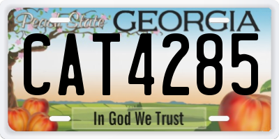GA license plate CAT4285