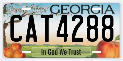 GA license plate CAT4288