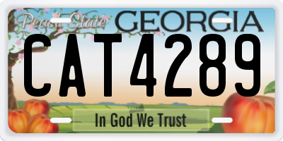 GA license plate CAT4289