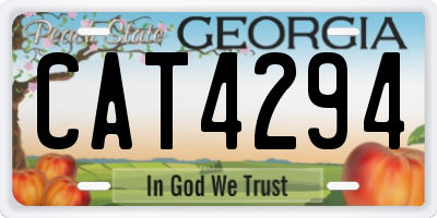 GA license plate CAT4294
