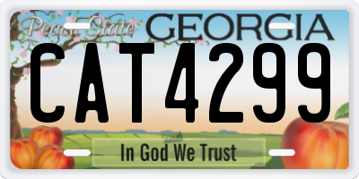 GA license plate CAT4299