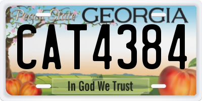 GA license plate CAT4384