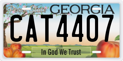 GA license plate CAT4407