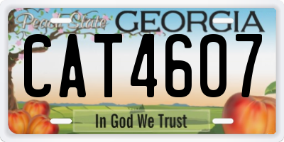 GA license plate CAT4607