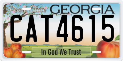 GA license plate CAT4615