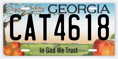 GA license plate CAT4618