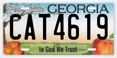 GA license plate CAT4619