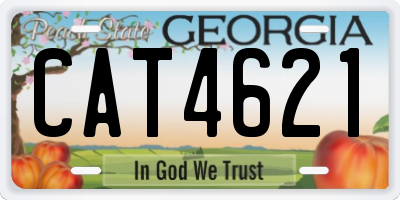 GA license plate CAT4621
